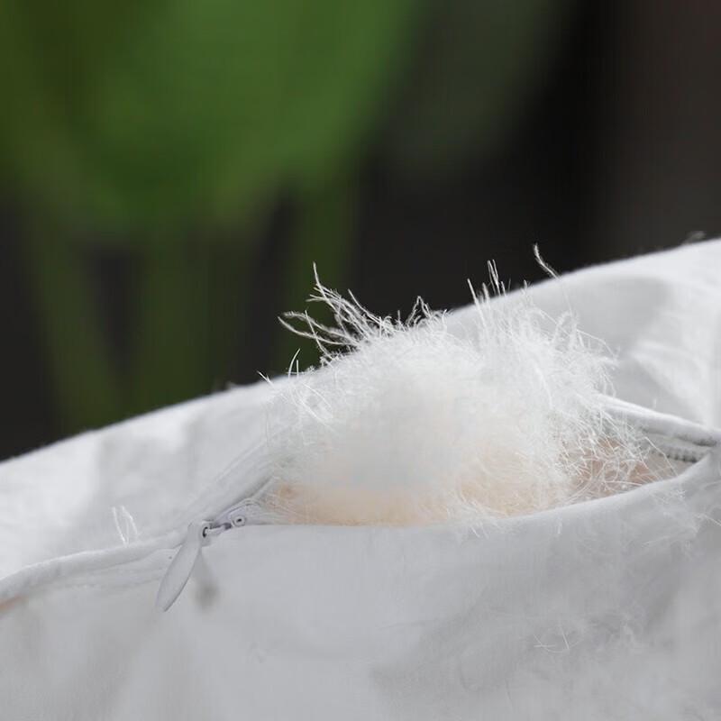 Muxinzi Premium White Goose Down Comforter