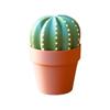 Printed Skewer Cactus , Funny Desk Skirtings with FlowerPots Holder, Novelty Plant Theme Desk Decor with Hidden Storage for Home Office Obstacle,
