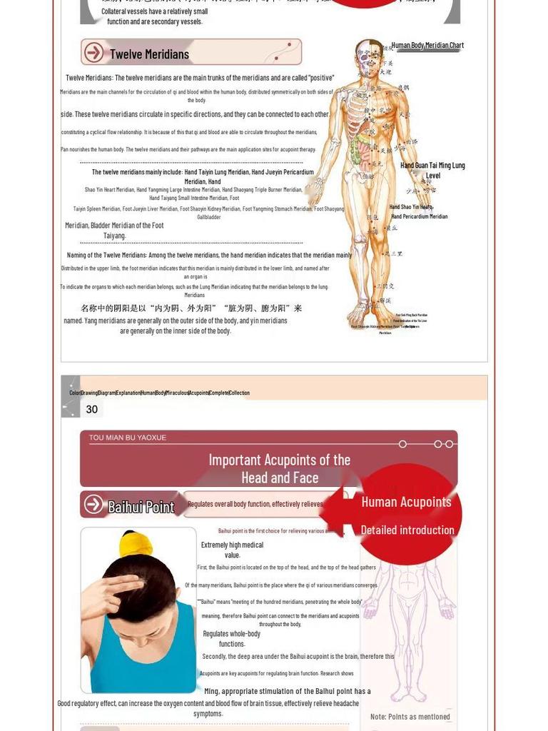 Illustrated Guide To Human Acupoints: Complete Meridian and Health Preservation Massage Book On Traditional Chinese Medicine