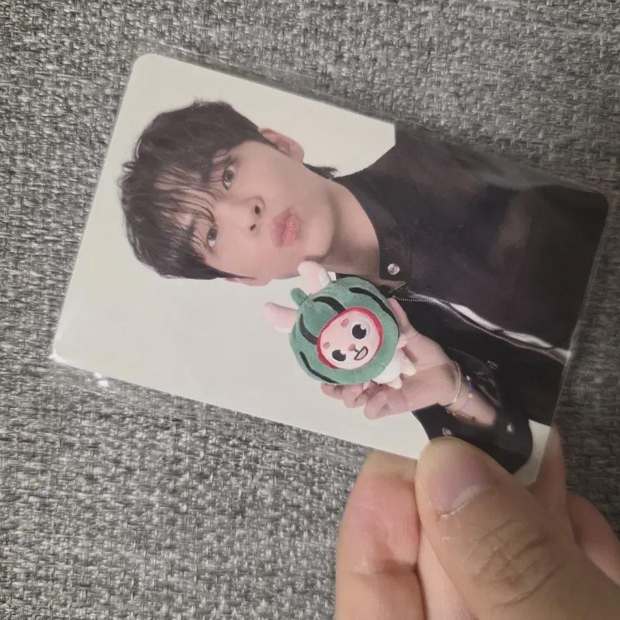 DAY6 Day6 Ancon Finale 40,000 Won Online Photocard Watermelon Wonpil