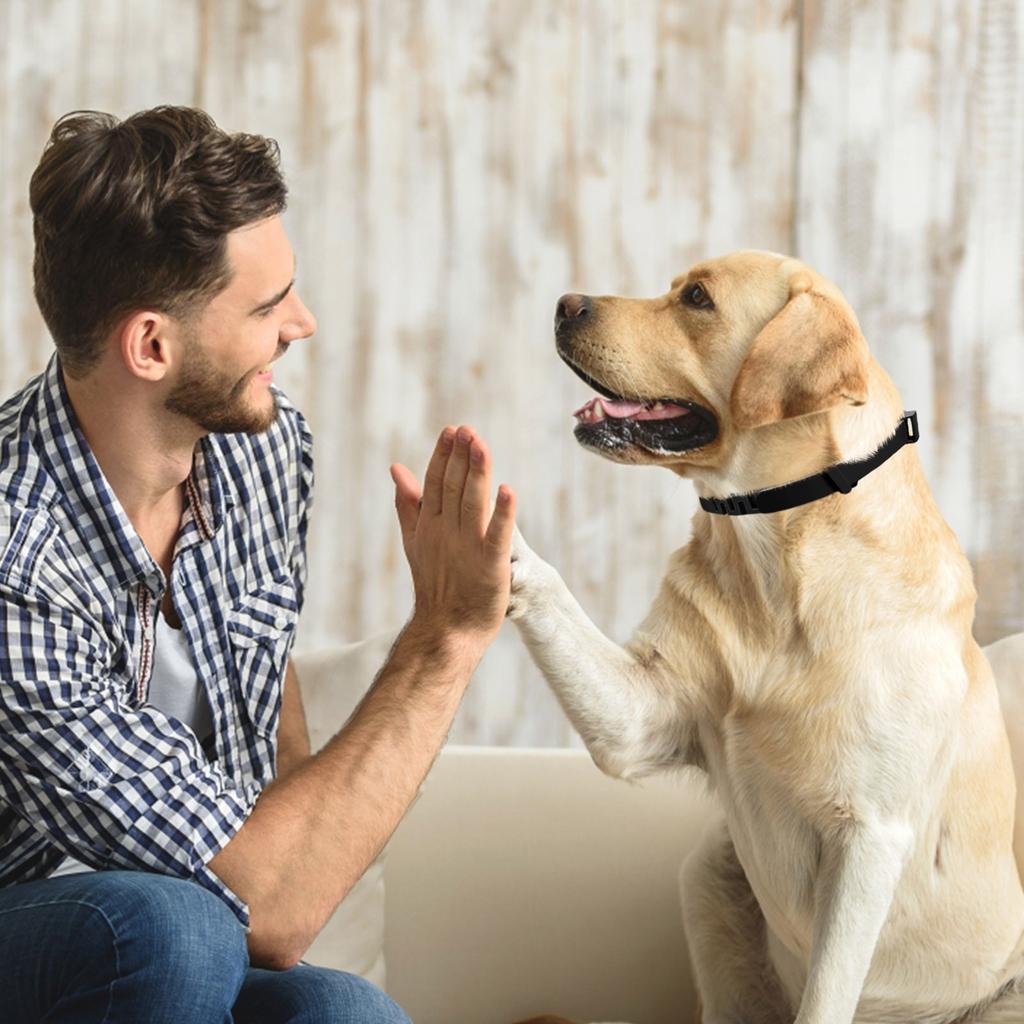 Helping Calm Their Collars And Use Behavior Imitation Technology To Pet Anxiety And Stress Collar