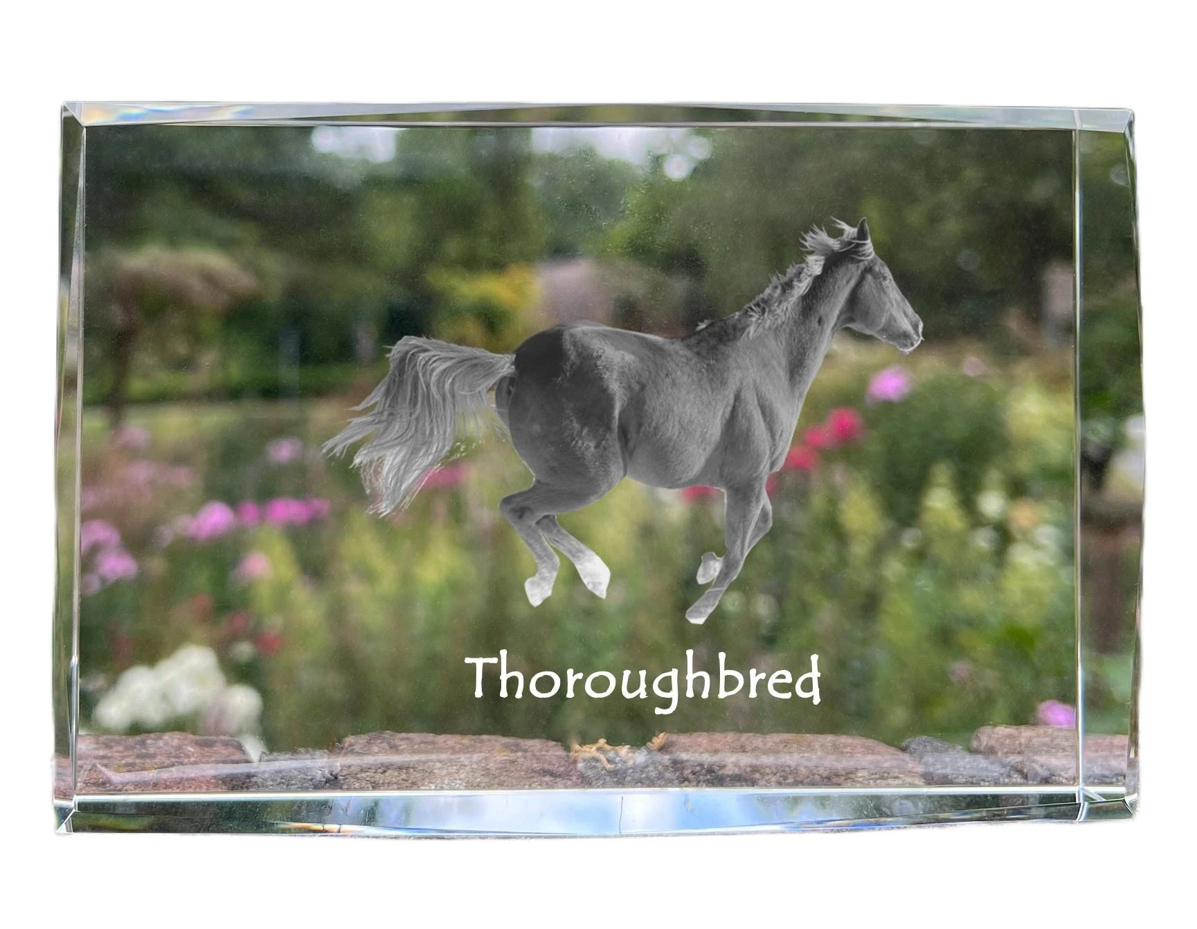 

Thoroughbred - crystal with a picture of a horse, photo in glass, modern exhibition of Art-Dog brand photo прозорий