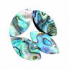Natürliche Abalone-Muschel Marquise-Cabochons, Regenbogenfarbene irisierende Marquise-Cabochons für Schmuck