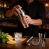 Cocktail Bar Tool Set With Stainless Steel Shaker For Home Entertaining