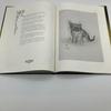 [USED] Tsuguharu Foujita Art Book A Book Of Cats Large Cat Book 1987 20 Pieces