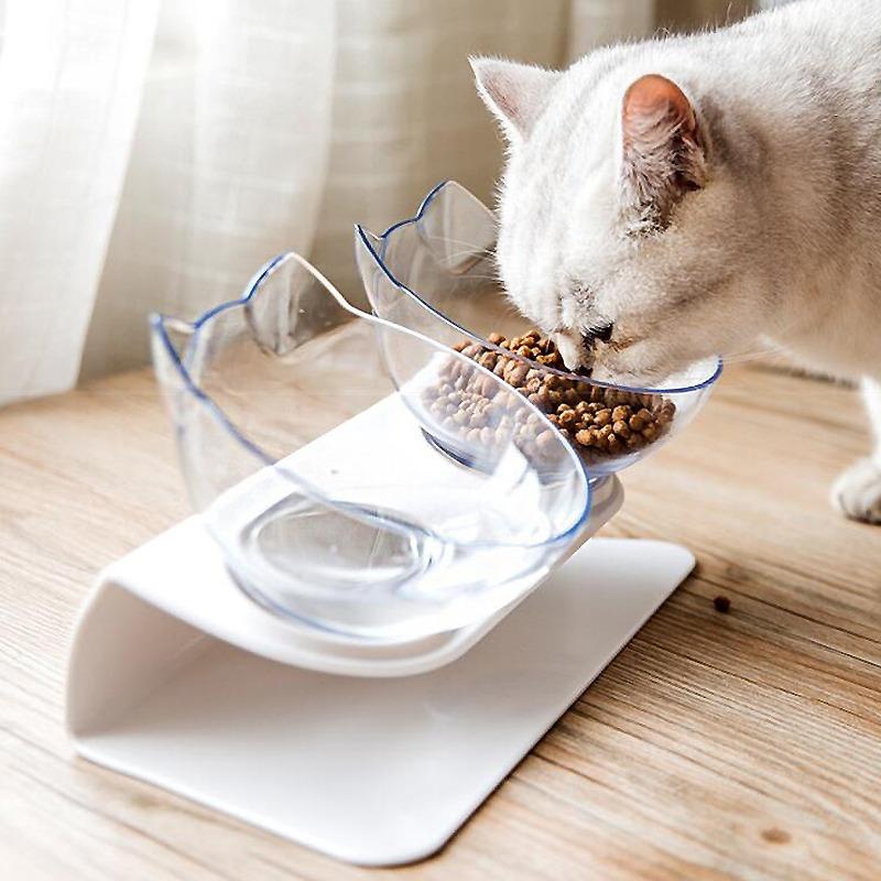 Raised Cat Bowl with Stand 15° Tilted Cat Bowls for Kittens Elevated Cat Bowl Anti Vomiting Double Cat Bowls Plastic Transparent