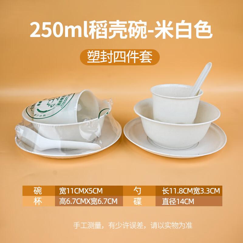 Zhi Shi Eco-Friendly 4-Piece Disposable Tableware Set