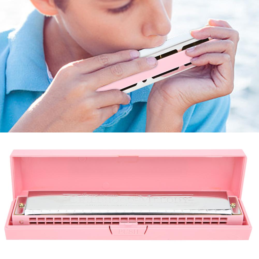 Professionelle Mundharmonika Diatonische Harp C-Dur Edelstahl-Deckplatte 24?HolePink