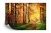 Photomural Forest Autumn Colors Self-Adhesive Mural 180x120