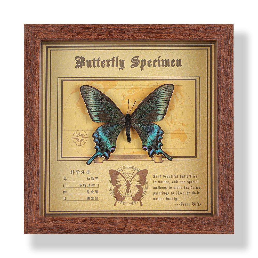 Real butterfly specimen photo frame, decorative painting, 3D ornament, handmade DIY, birthday gift, insect specimen
