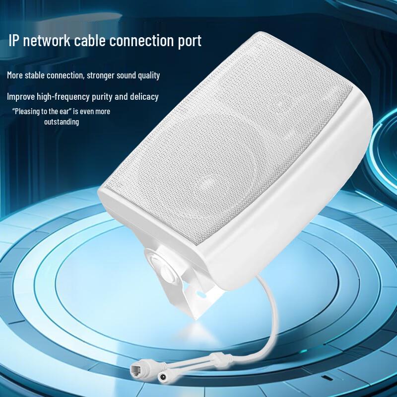 Weishu TP16-50 Wireless FM Wall-Mounted Active Speaker