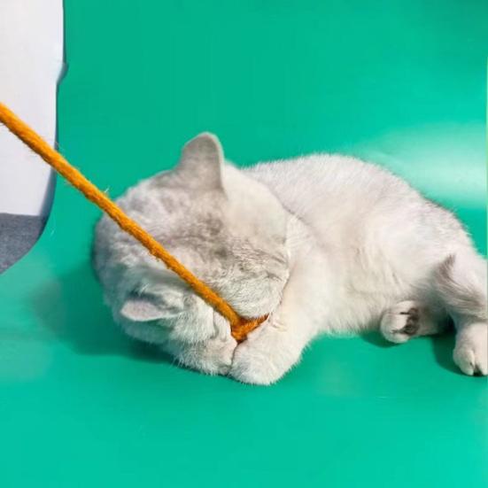 Sizalowa Piłka Zabawka dla Kota Wisząca Sizalowa Lina Piłka Grzechotka Drapak dla Kota Interaktywna Zabawka do Gryzienia Zabawka na Ząbkowanie dla Kociąt Rozrywka do Klatki