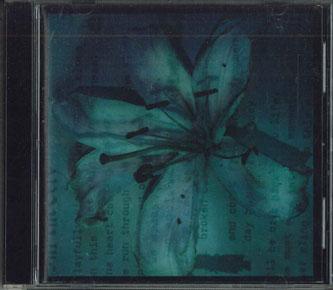 

CD A.R.B. - INFINITELY MVCH12005 Universal 1998 Japan ObiJapanese Pop/Rock Used