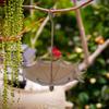 Unique Rustic Design Brown Bird Feeder with Hanging Device for Garden Use