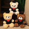 Graduation Bear Doll Wearing Doctor Hat Bachelor Bear Plush Toy Teddy Bear Graduation Season Gift Print School Badge