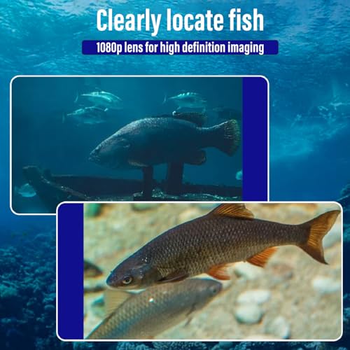 Portable Underwater Fishing Camera, 1080P HD Fish Finder Camera with 4.3-inch Screen, 220° Wide Angle, 30m Cable, for Ice Lake Sea Boat Kayak Fishing
