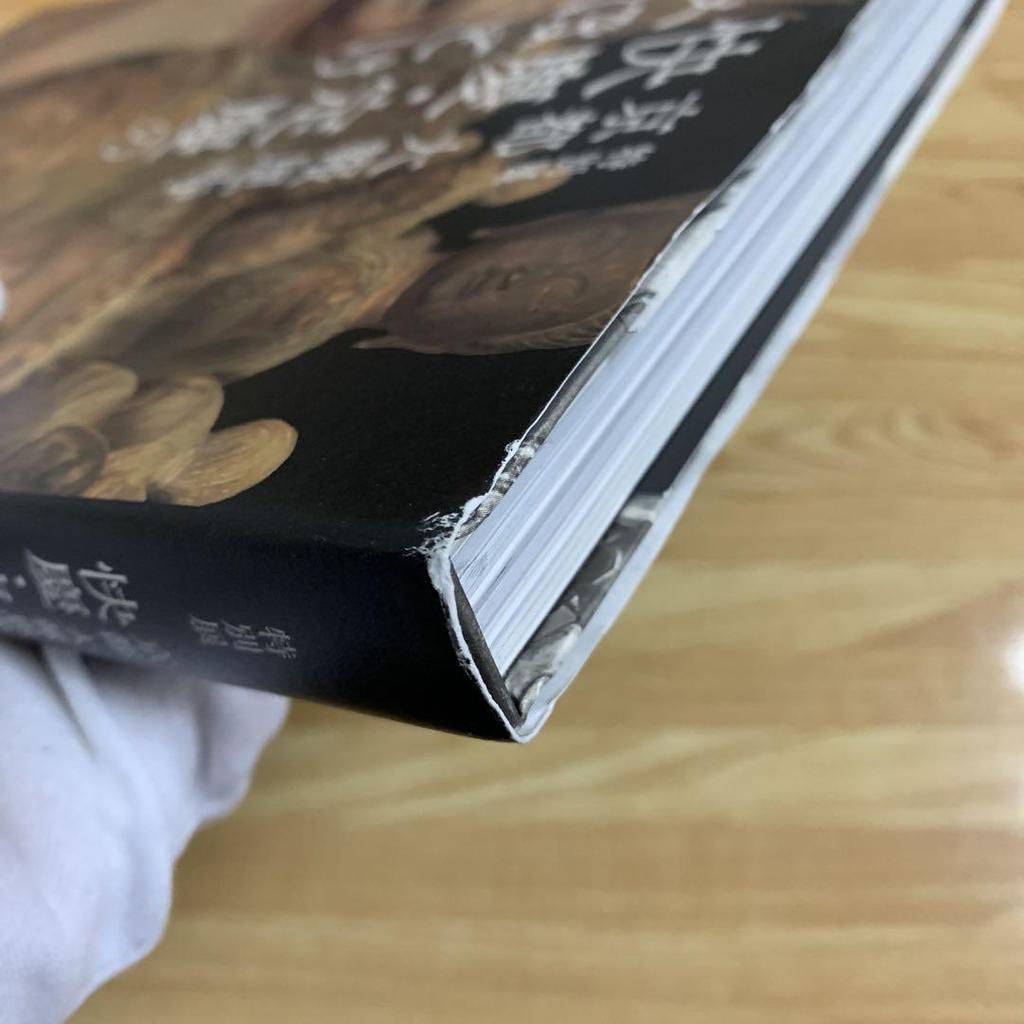 [USED] Special Exhibition Kyoto Daihoonji Temple Kaikei Sadakei Mihotoke Catalog