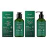 Teebaum Shampoo und Spülung Set, Tiefenreinigung Kopfhaut, Beschleunigt Haarwachstum, Behandlungen gegen dünner werdendes Haar und Haarausfall für Frauen & Männer