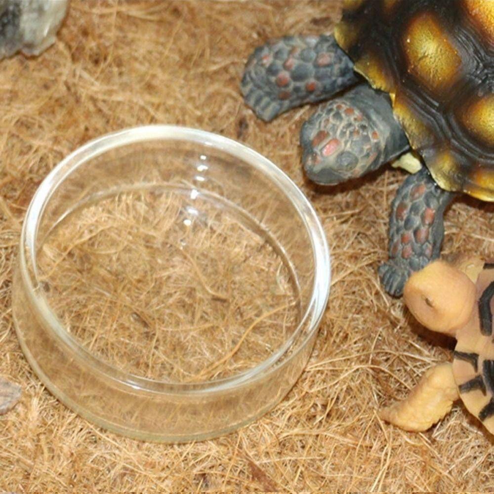 Acryl Aquarium Voederbak Transparante Universele Luchtvoederbak met Zuignap Vis Garnalen Voederbakje