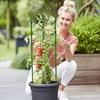 Plant Support Climbing Trellis Iron Potted Holder Frame For Flower Vegetable Vine Garden Supplies