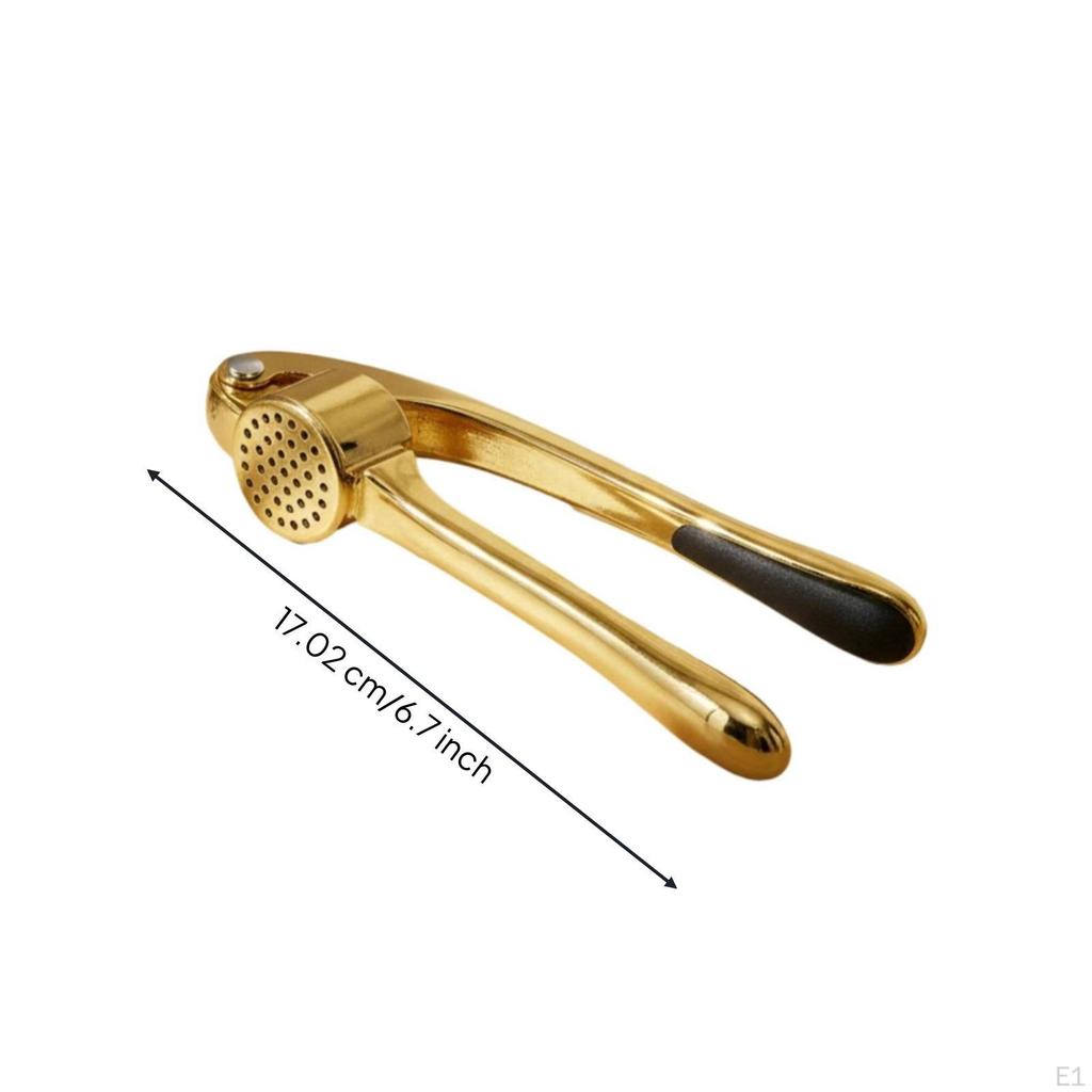 Garlic Press Zinc Alloy with Storage Box HandPress for Home Cooks, Everyday Cooking,