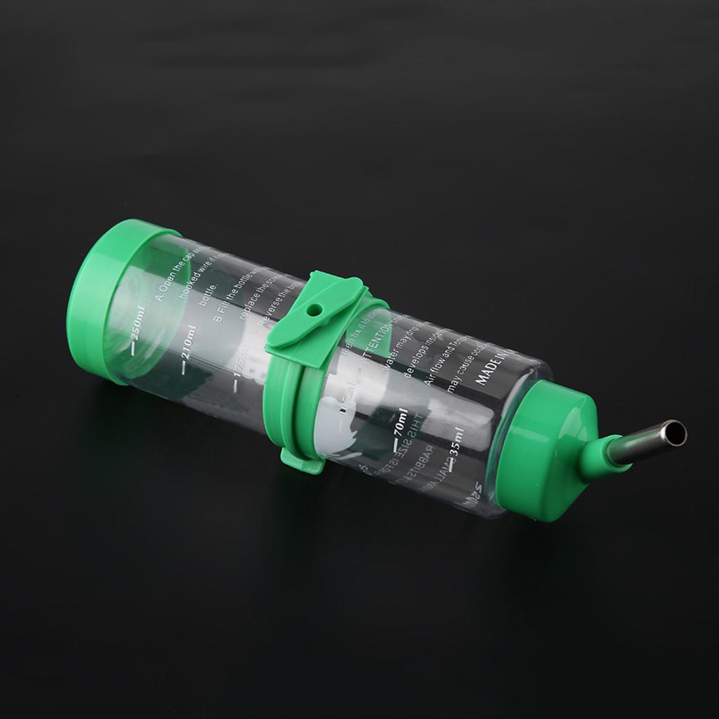 250ml Pet Rat Hamster Drinking Bottle Auto Non Drip Hanging Water Dispenser Green