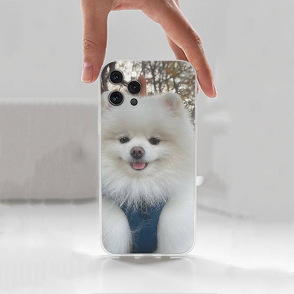 Cute P-Pomeranian Dogs Case For iPhone 17,11,12,13,16,14,15,Pro,Max,Plus,X,XS,XR,SE,Mini Transparent Soft Silicone