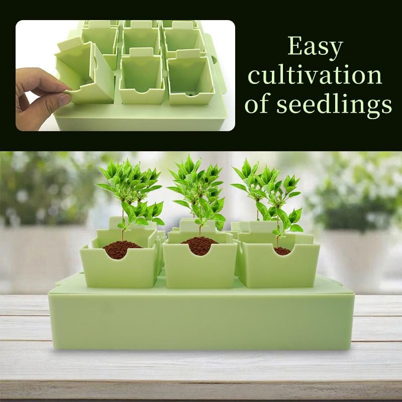 Seed Starter Tray Reusable Plastic Propagation for Gardening