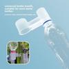 Parrot, Parrot, Pigeon, Water Guide, Water Dispenser, Pigeon Automatic Water Dispenser, Pigeon Medicine Water Dispenser