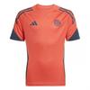 adidas Childrens/Kids Tiro 25 FC Bayern Munich Competition Football Shirt