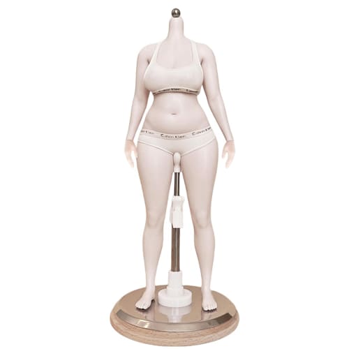 HiPlay PDTOYS 1/6 Scale Platinum Seamless Body S201 with Detachable Hands and Legs, Fair-Skinned Skin, Body Makeup, and Super Articulated Female Seaml