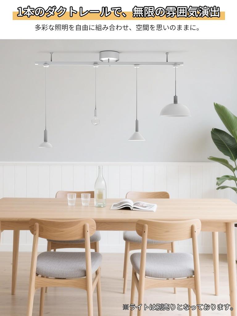 Coizabera 1m Duct Rail, Lighting Rail, Light Rail, Wiring Duct Rail, Ceiling Mount, No Installation Required, Freely Adjustable Position, Ideal for