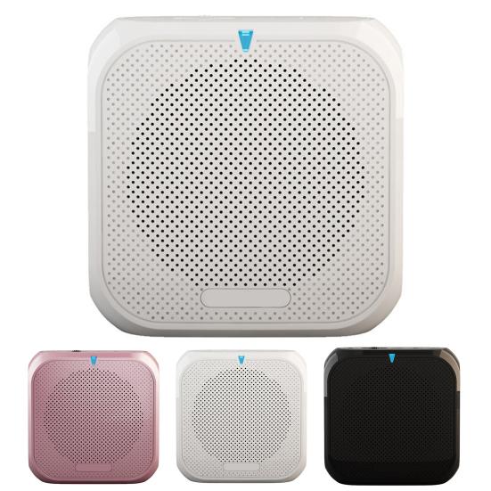 Portable Wireless Voice Amplifier Teachers Meeting Tour Guide Rechargeable PA System Speaker Personal Amplifier