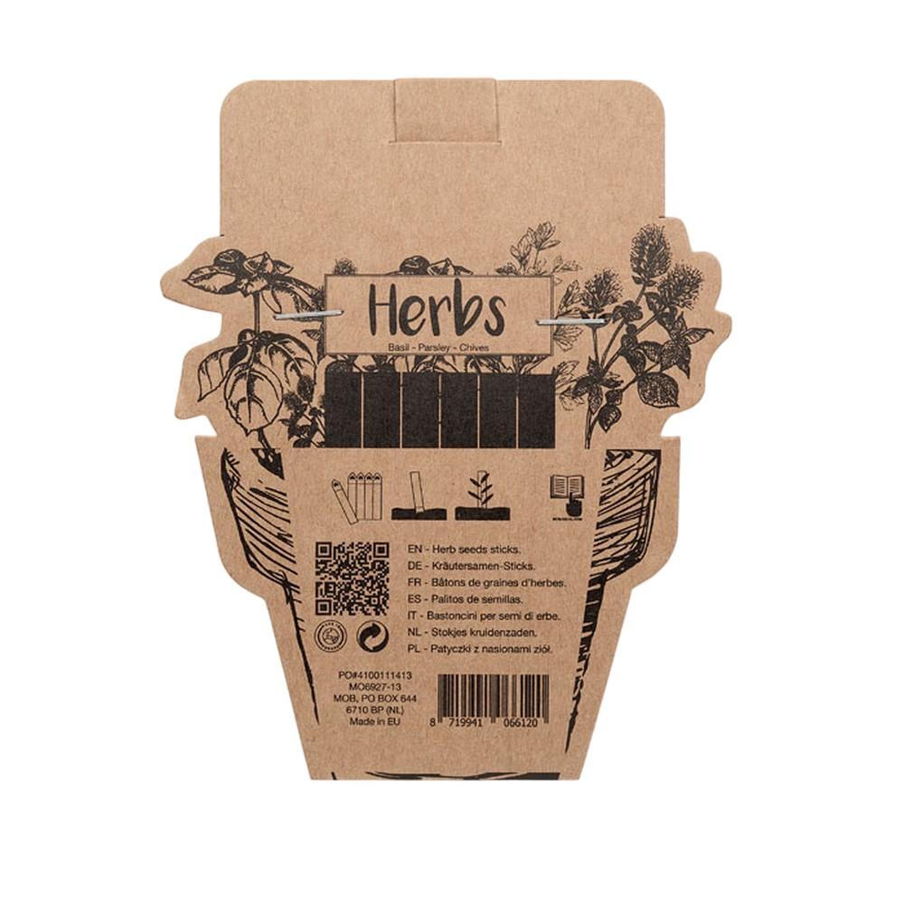 MidOcean Leyti Herb Seeds