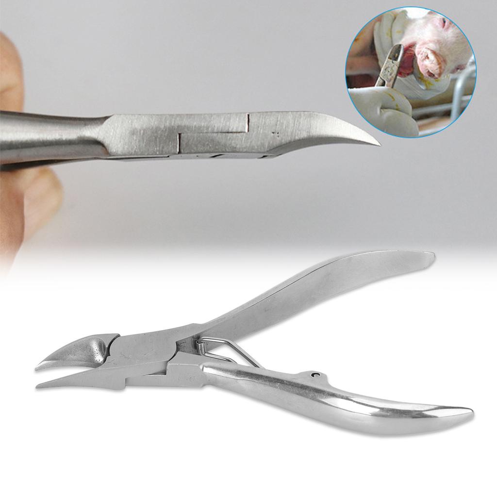 let Teeth Cutter Elbow Stainless Steel Ergonomic Handle  lets Teeth Nipper with Blocking Spring