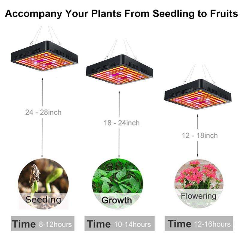 2000W Growing Lamps LED Grow Light Full Spectrum for Greenhouse Indoor Hydroponic Plant Seedling Flower High Yield