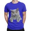 British Shorthair Painting Funny 100 Cotton Tshirt Shorthair Tops Tees For Unisex