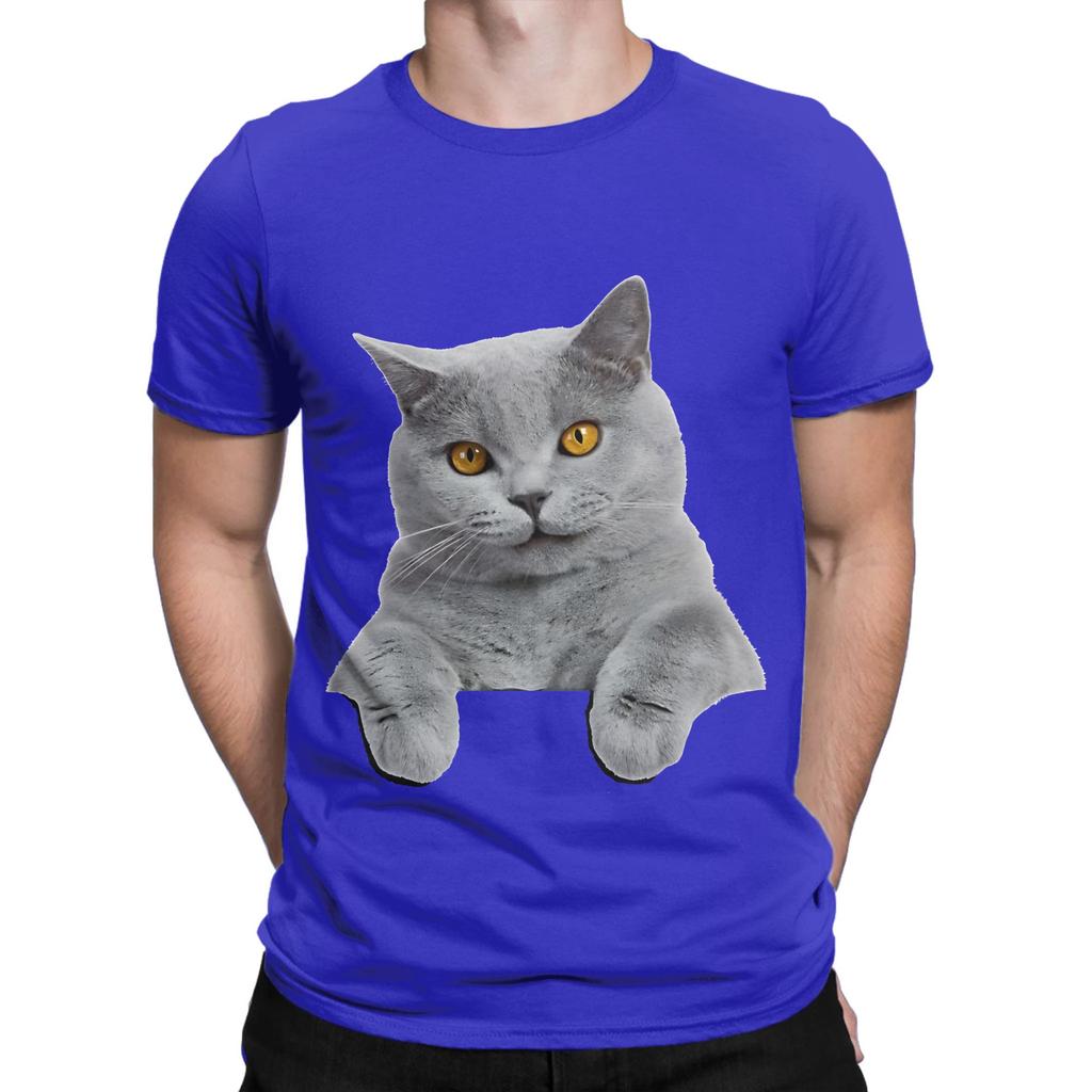 British Shorthair Painting Funny 100 Cotton Tshirt Shorthair Tops Tees For Unisex
