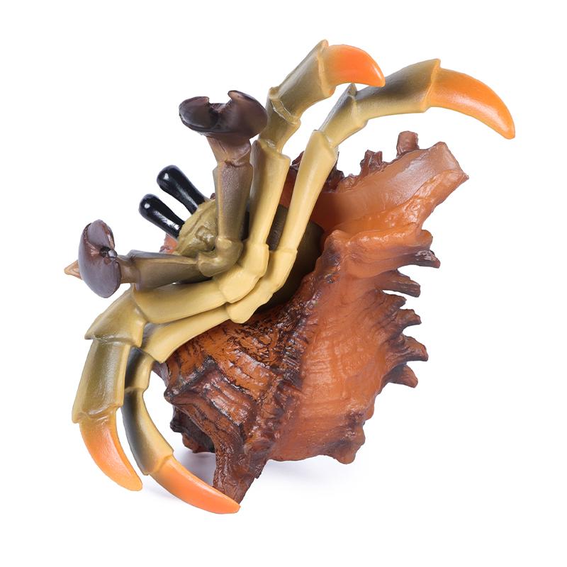 Hermit Crab Figurine Sea Life Animals Model Figure Educational Toy Boys Girls Kids Ages 18M for and Kid Friendly Entertaining Fun Play Safe