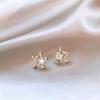 Exquisite Zirconia Star Stud Earrings: Stylish, Versatile, and Luxurious