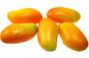 Speed Mao Lifelike Mango Food Set of 5 Samples,
