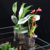 Transparent Hydroponic Planting Cup  for Fish Tank Landscape Decoration