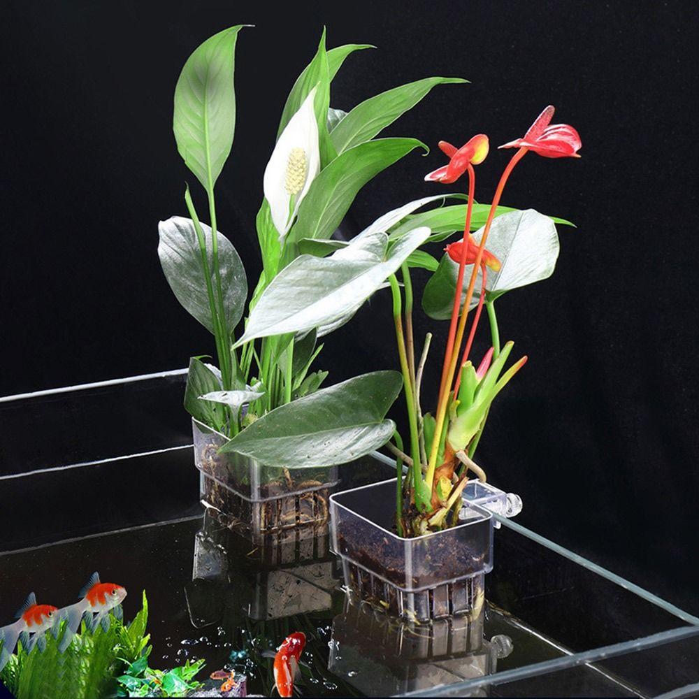 Transparent Hydroponic Planting Cup Fish Tank Plant Cup  for Fish Tank Landscape Decoration