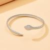 Trendy Snake-Shaped Stainless Steel Bracelet: Unisex Punk Style Jewelry