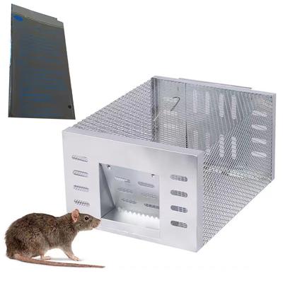 Menselijke Rattenval Dubbele Deur Levende Muis Rat Kooi Val Eekhoorn Val voor Kleine Levende Dier Vangen en Loslaten