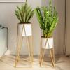 Golden iron flower stand Fashion Indoor Plant shelf living room Balcony floor-standing shelf Square bottom Not include plants