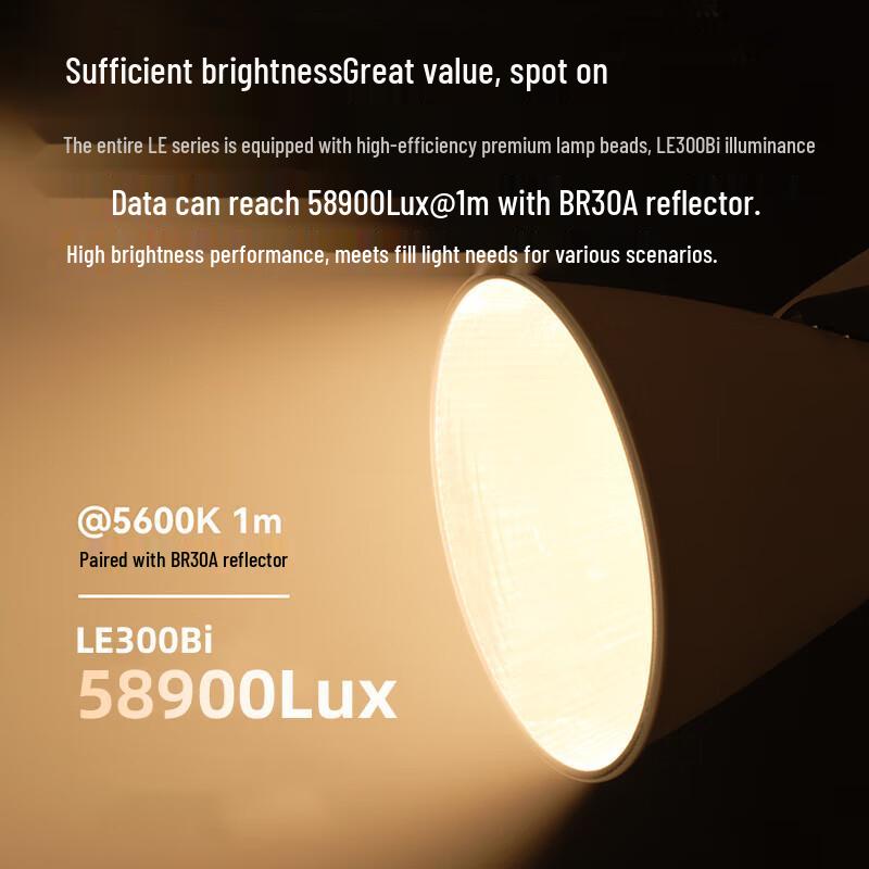 Godox LE300Bi Bi-Color LED Video Light