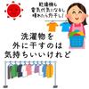 Laundry Weather Next Laundry Cover, Rain Protection, 200cm, 1 piece [Foral Co., Ltd.]
