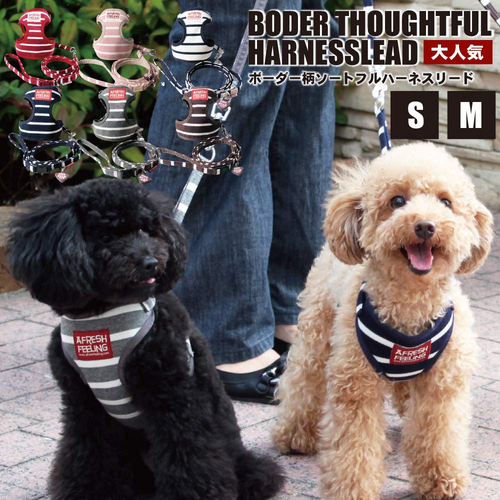 Border Pattern Sort Full Harness and Leash Size (pink, S)