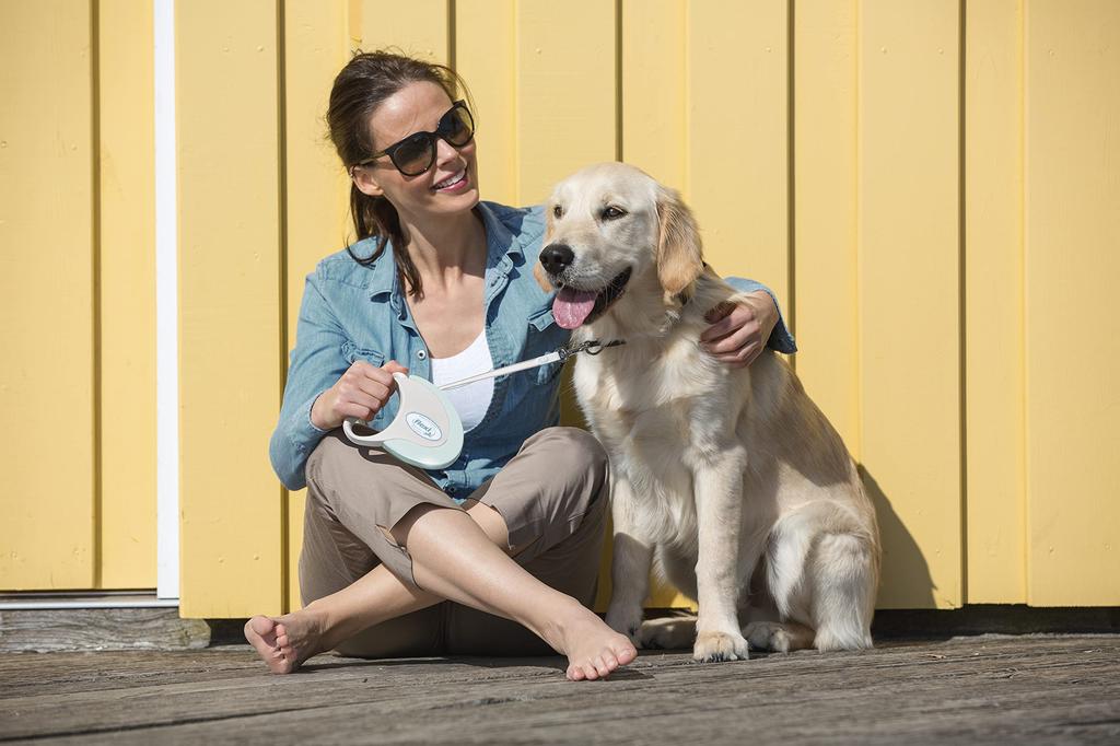 Flexi Retractable Lead, Style Tape, Medium (Under 25kg), 5m, Mint [Dog Lead], Official Japanese Product